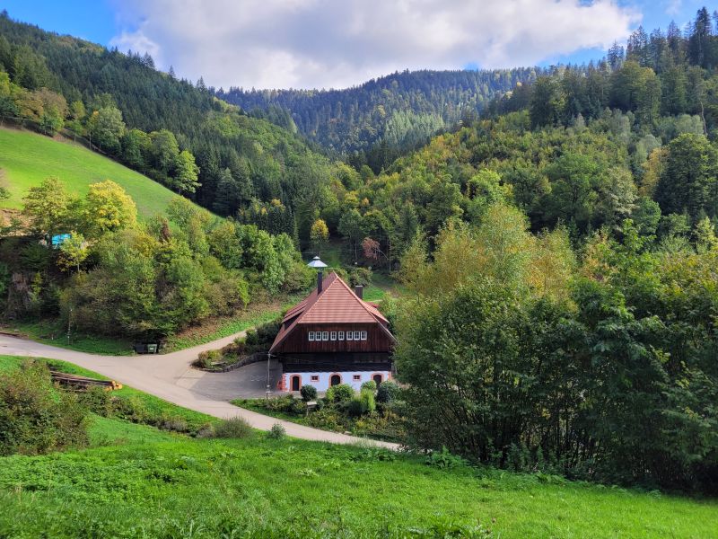 Black Forest Tours