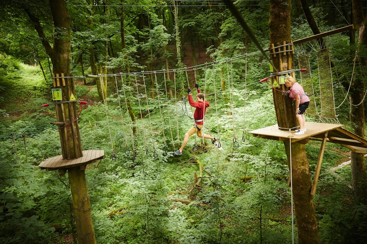 Go Ape