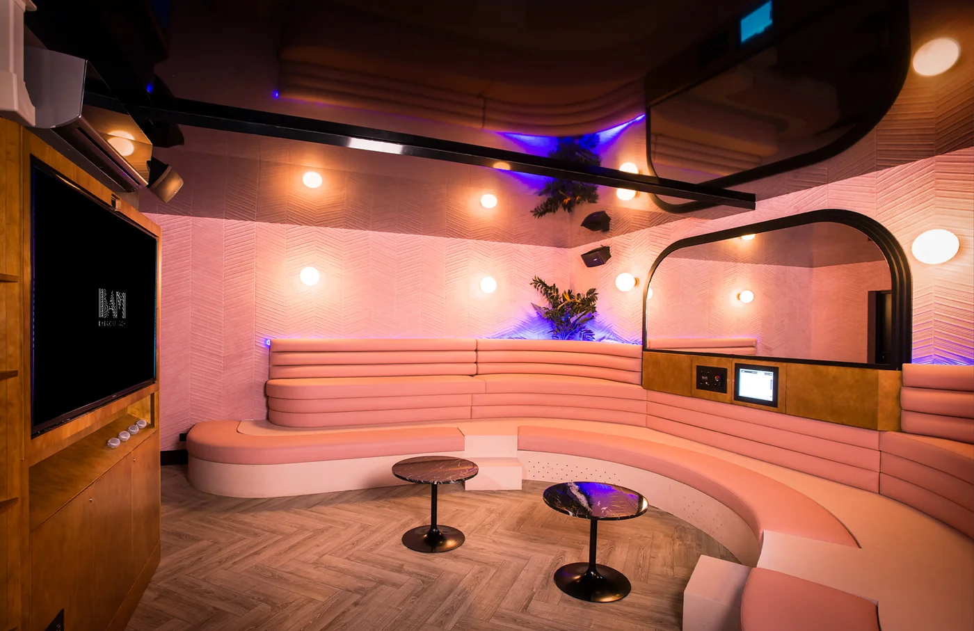 Bam Karaoke Box