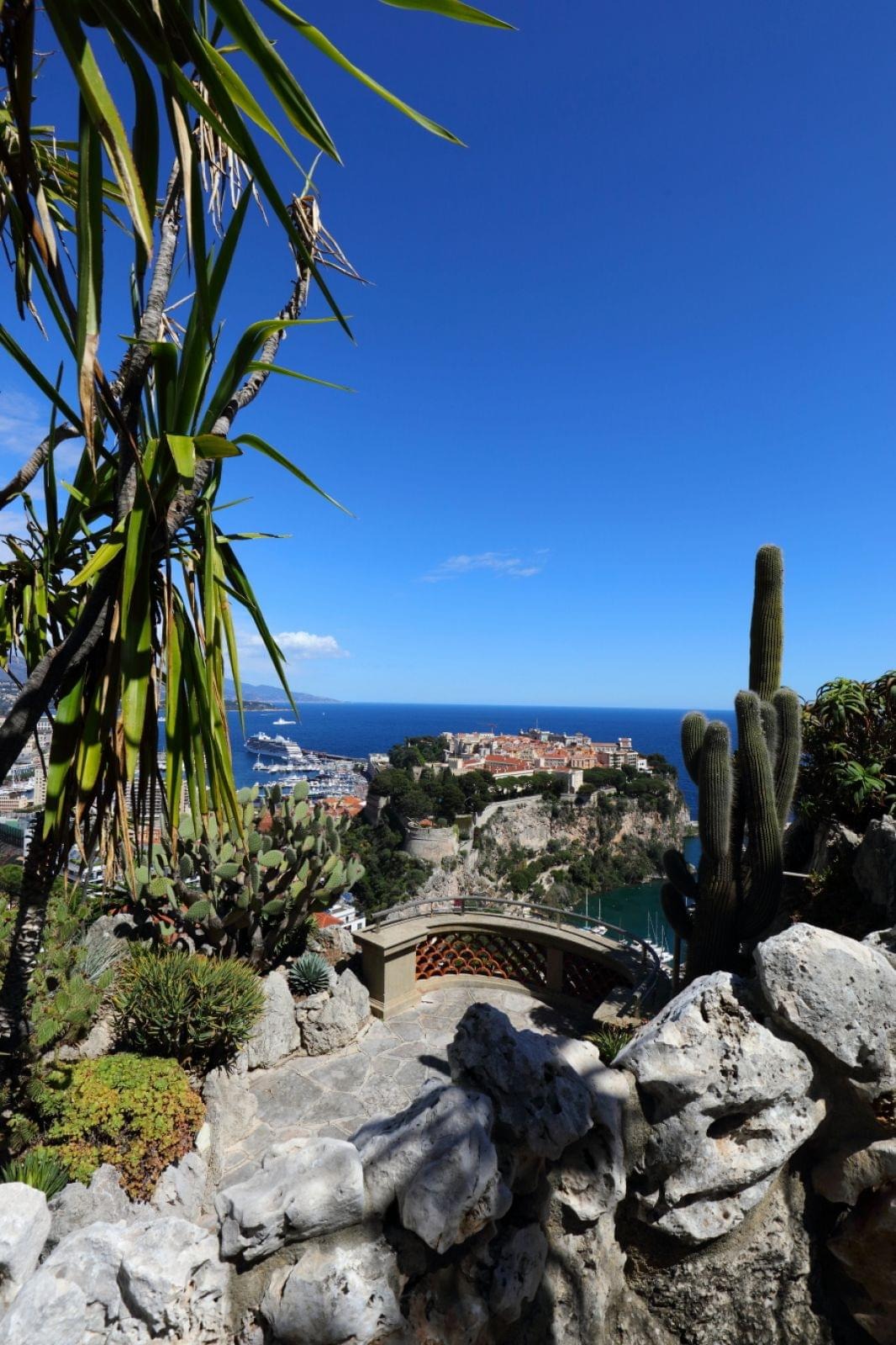 Jardin Exotique de Monaco