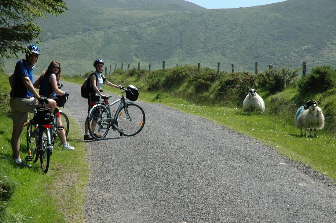 Irish Cycling Safaris